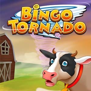 Bingo Tornado screenshot